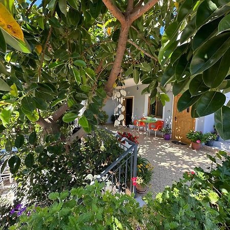 Albi'S Guesthouse كساميل المظهر الخارجي الصورة