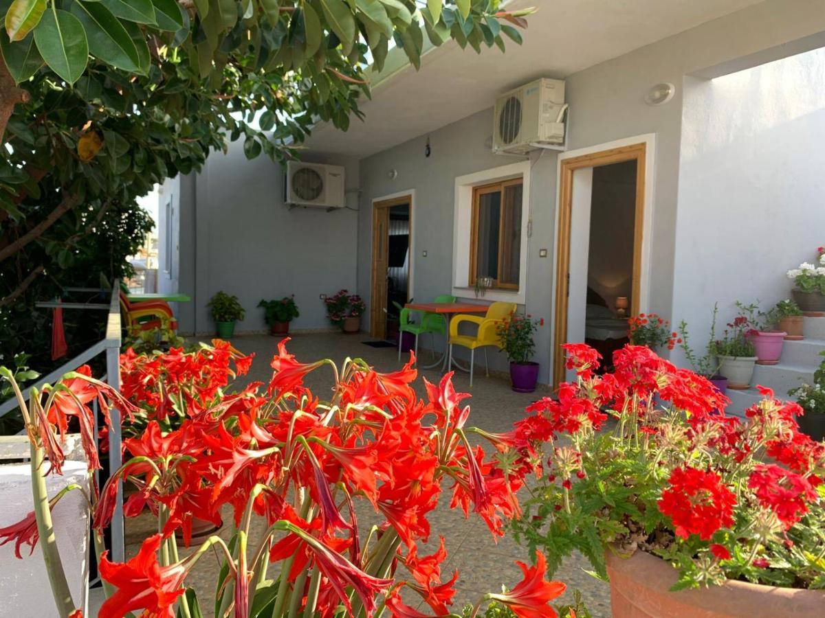 Albi'S Guesthouse كساميل المظهر الخارجي الصورة