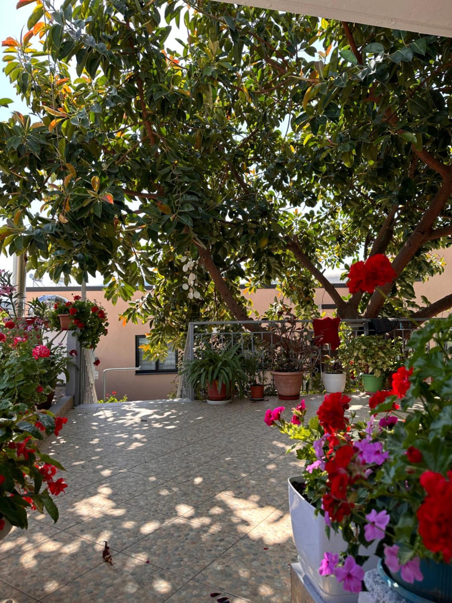 Albi'S Guesthouse كساميل المظهر الخارجي الصورة