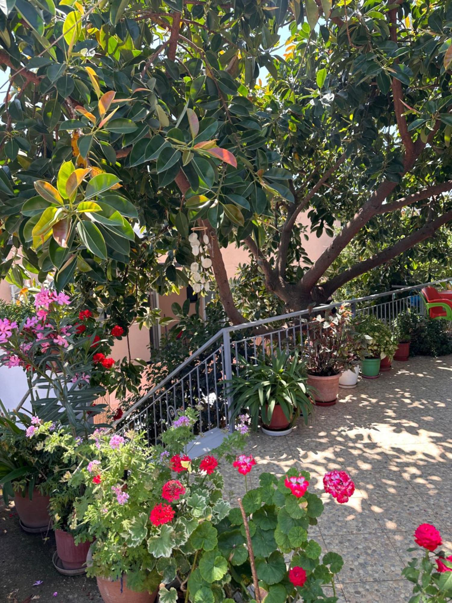 Albi'S Guesthouse كساميل المظهر الخارجي الصورة