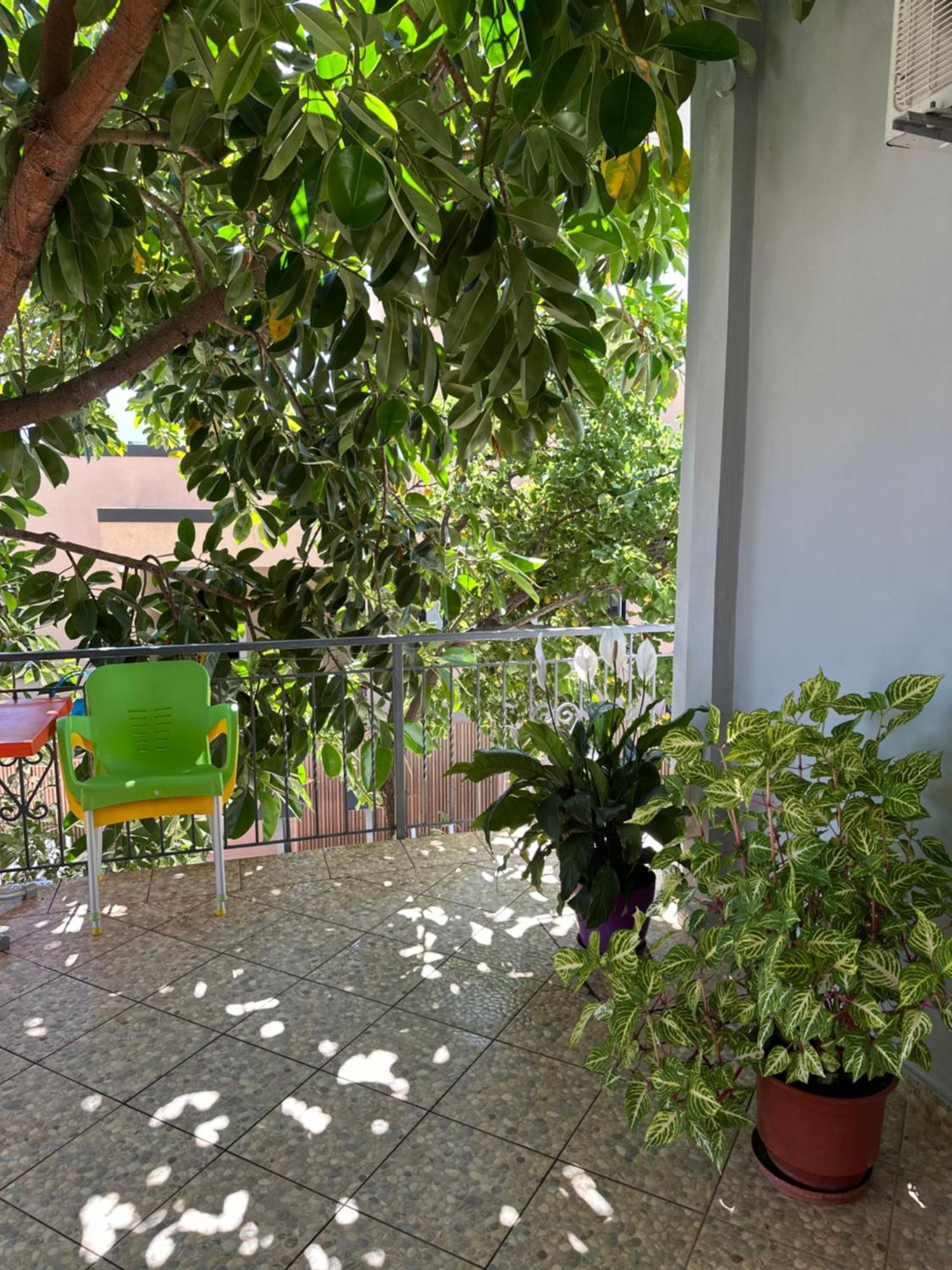 Albi'S Guesthouse كساميل المظهر الخارجي الصورة
