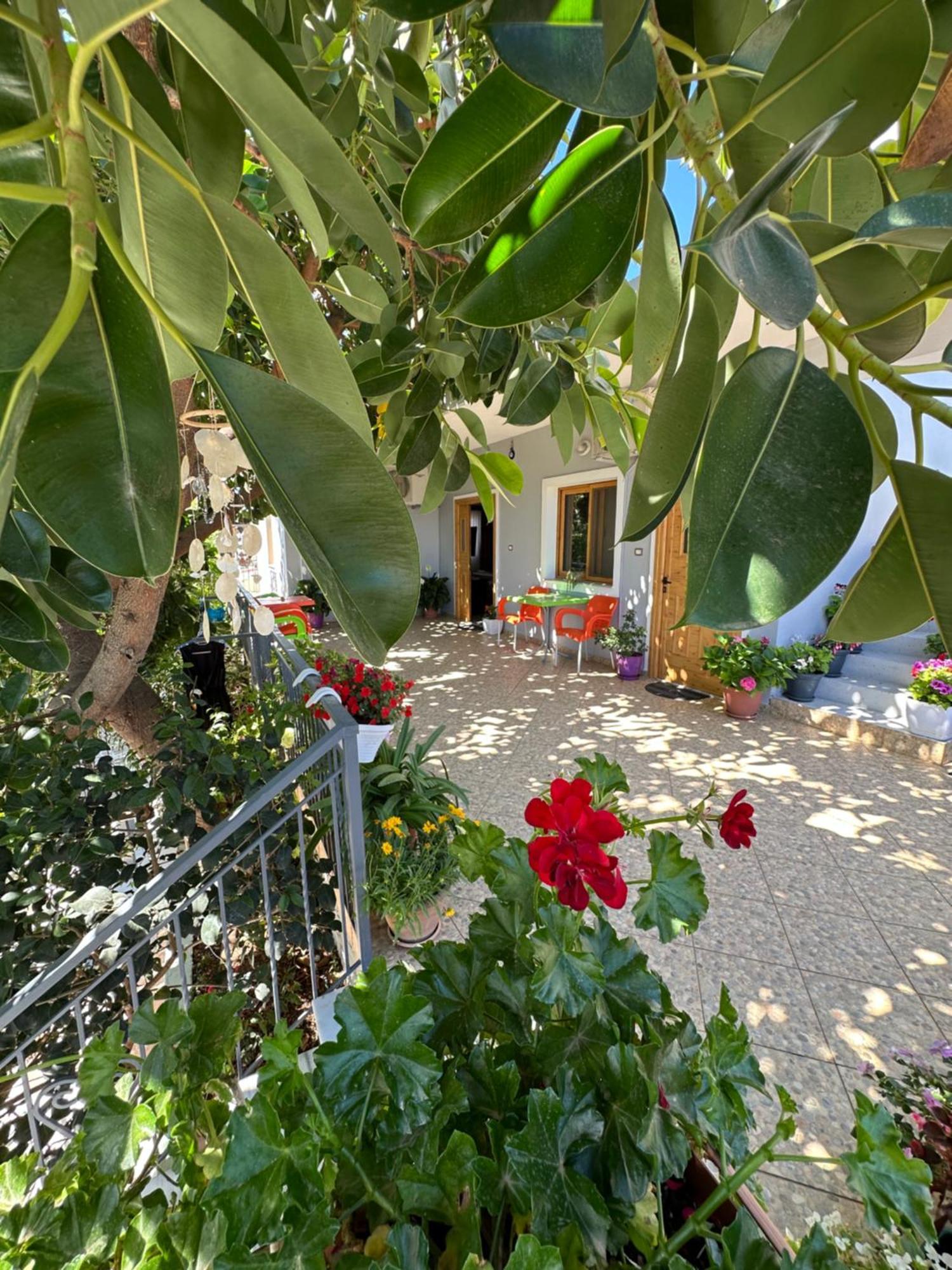 Albi'S Guesthouse كساميل المظهر الخارجي الصورة
