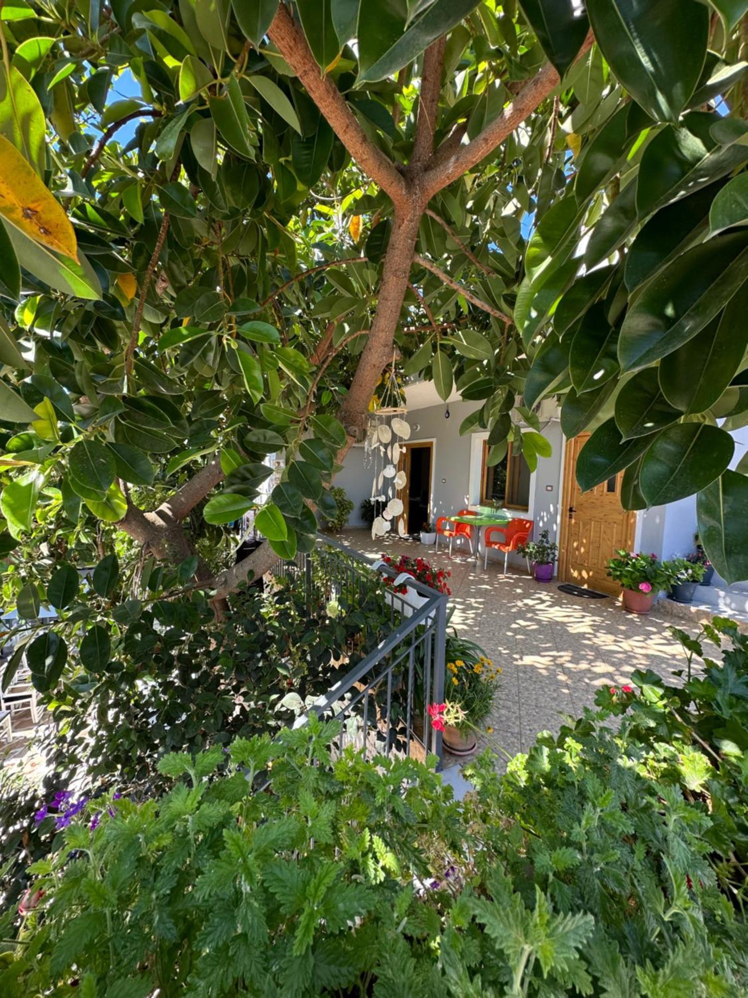 Albi'S Guesthouse كساميل المظهر الخارجي الصورة
